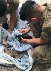 Boğulmak Üzere Olan Köpek Yavrularını Mehmetçik Kurtardı