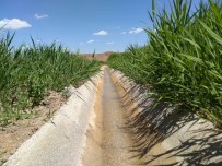 KANUN HÜKMÜNDE KARARNAME - Van Büyükşehir, Taşdöndürenli Çiftçileri Suya Kavuşturdu