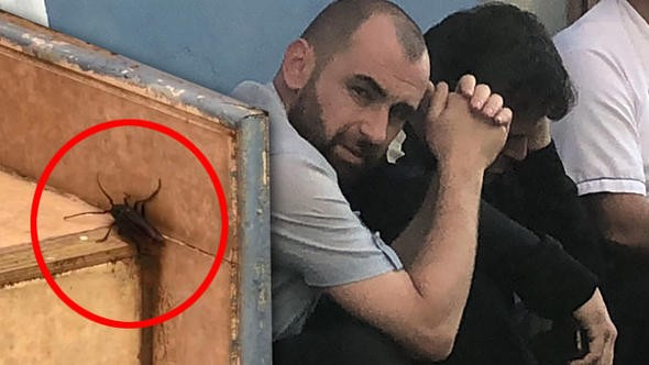 Böcekler istila etti... Korkunç olay ortaya çıktı