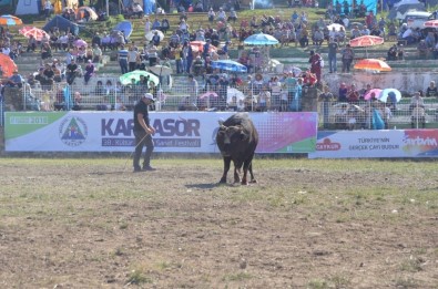 38. Kafkasör Kültür, Turizm Ve Sanat Festivali