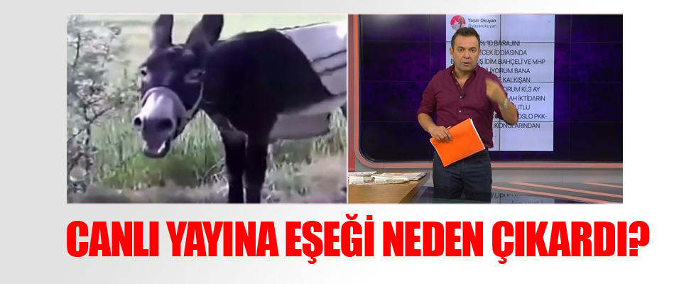 Beyaz Tv sunucusu canlı yayına eşek çıkardı