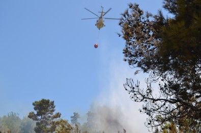 Bozyazı'da Orman Yangını