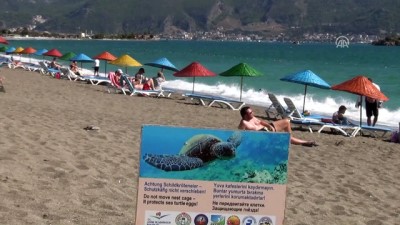 Fethiye'de Yavru Caretta Carettalar Denizle Buluştu