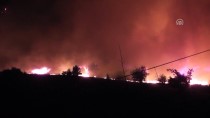 İzmir'de Orman Yangını