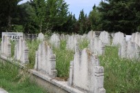 Samsun'daki Eski Mezarlıklar Dolmak Üzere