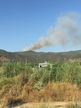 ŞİDDETLİ RÜZGAR - Aydın'da Arazi Yangını