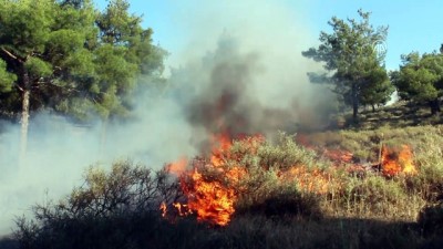 Hatay'da Anız Ateşi Ormanı Ve Bahçeyi Yaktı