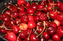 UYKUSUZLUK - Kiraz Her Derde Deva, Karpuza Dikkat