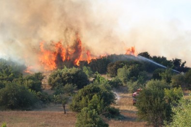 AFAD'tan Orman Yangınlarına Karşı Uyarı