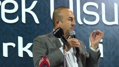 Dışişleri Bakanı Çavuşoğlu Açıklaması (3)