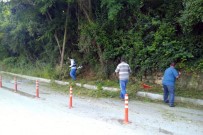 Sapanca'da Mevsimsel Bakım Başladı