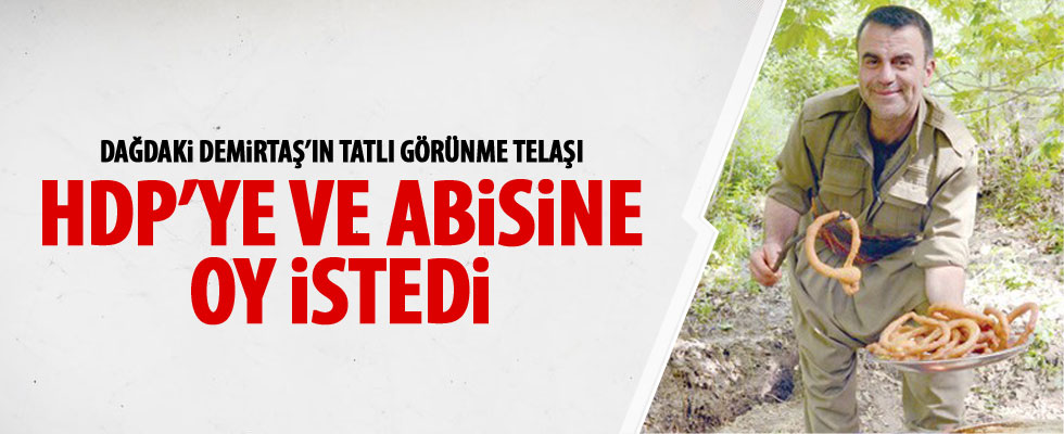 Selahattin Demirtaş'a dağdan abi desteği