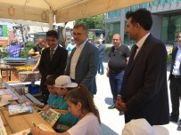 DÜNYA ÇEVRE GÜNÜ - Üsküdar'da Dünya Çevre Günü Kutlandı