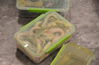 KAYIP EŞYA - Yolcunun bagajından çıkanlar şok etti