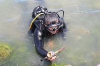 DENİZ KİRLİLİĞİ - Dalgıçlar Denizde, Öğrenciler Kıyıda Temizlik Yaptı