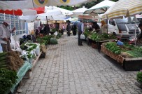 YEŞİL BİBER - Organik Fide Pazarına Yoğun İlgi