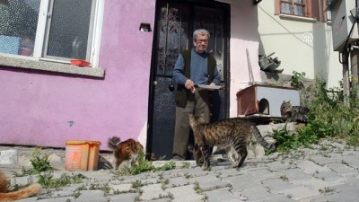 Sokak Kedilerine Hem Evlerini Hem Gönüllerini Açtılar