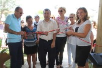 FETHİYE KAYMAKAMI - Sokak Hayvanları İçin Eğitim Parkı Hizmete Girdi