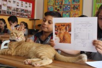 İZMIR İL MILLI EĞITIM MÜDÜRÜ - Fenomen Kedi Tombi'nin Dersleri 'Pekiyi'