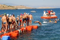 TÜRKİYE YÜZME FEDERASYONU - Türkiye Açık Su Yüzme Şampiyonası Foça'da