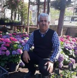 HALIL DEMIR - Serinlemek İçin Girdiği Denizde Boğuldu