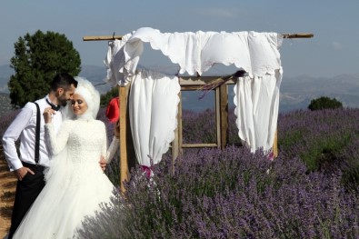 Türkiye'nin Doğal Fotoğraf Stüdyosu Lavanta Tarlalarında Düğün Turizmi