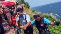 Uçurumda Mahsur Kalan Köpekleri İtfaiye Kurtardı