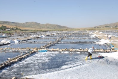 Aktuzla'da Günde 120 Ton Tuz Üretiliyor