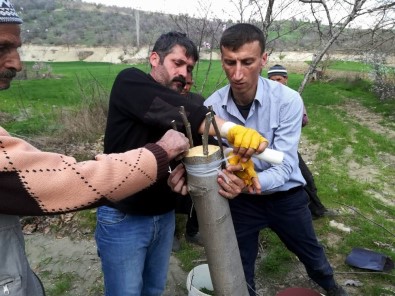 Diyarbakır'da 18 Bin 842 Meyve Ağacı Aşılandı