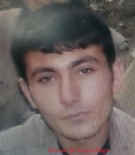 PKK TERÖR ÖRGÜTÜ - Gri listedeki terörist Yunus Dalgın öldürüldü!