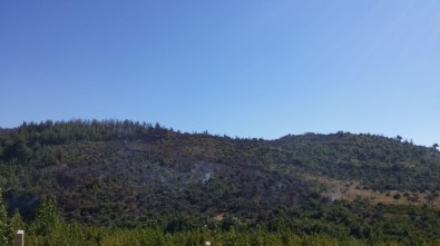 Yayladağı'nda Çıkan Orman Yangını Söndürüldü