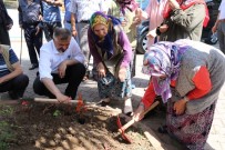 MEDINE - Başkan Kılıç, Bafra Huzurevi'nin Bahçesine Çiçek Dikti