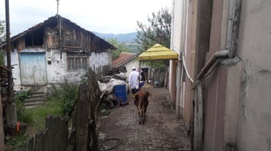 Gölcük'te Şarbon Karantinasına Alınan Köyde Aşılama Başlatıldı