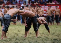 KıRKPıNAR - Kırkpınar Guinness Yolunda