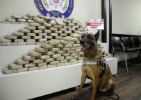 KOCAELİ VALİSİ - Kocaeli'de Son Bir Yılda 3 Tona Yakın Uyuşturucu Ele Geçirildi