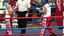 SLOVENYA - TASKK Türkiye Kick Boks Şampiyonası Sona Erdi