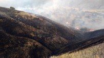 Tosya'da Tarım Arazisindeki Yangında 100 Dönüm Alan Kül Oldu