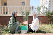 ZEYTIN DALı - Afrin Şehitlerine Vefa