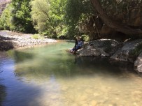 İSLAM ÜLKELERİ - Arapgir'e Hayran Kaldılar