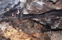 CEHENNEM DERESİ - Dere Yatağındaki Mağara Yarasaların Yuvası Oldu