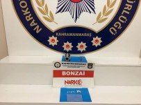 ALÜMİNYUM FOLYO - Kahramanmaraş'ta Uyuşturucu Satıcısı Yakalandı