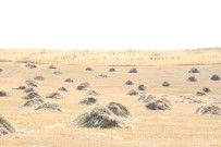 KAYIP ÇOCUK - Günler sonra şaşırtan gelişme! 200 metre ileride bulundu...