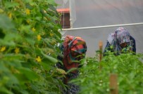 Ürkmezer, 'SAKEM Hayatın Her Alanında Var'