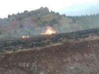 BADEMLI - Anız Yangınında Alevler Ormana Sıçramadan Söndürüldü