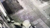 VİTRİN - Hırsızlık Anı Güvenlik Kameralarınca Kaydedildi