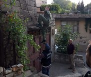 ŞAFAK OPERASYONU - Kahramanmaraş'ta Uyuşturucu Operasyonu Açıklaması 15 Gözaltı