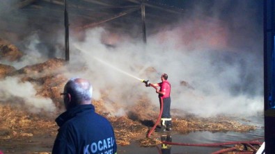 Kocaeli'de Çiftlikte Çıkan Yangın 3 Saat Sonra Kontrol Altına Alındı