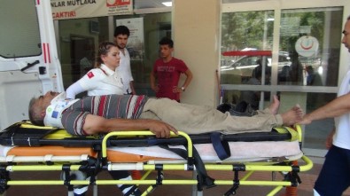 Şanlıurfa'da Kamyonet İle Otomobil Çarpıştı Açıklaması 3 Yaralı