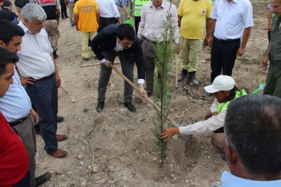 Sumbas'ta 15 Temmuz Hatıra Ormanı Oluşturuldu