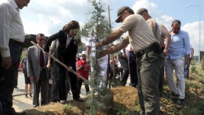 Yalova'da 15 Temmuz Şehitleri Anısına Fidan Dikildi